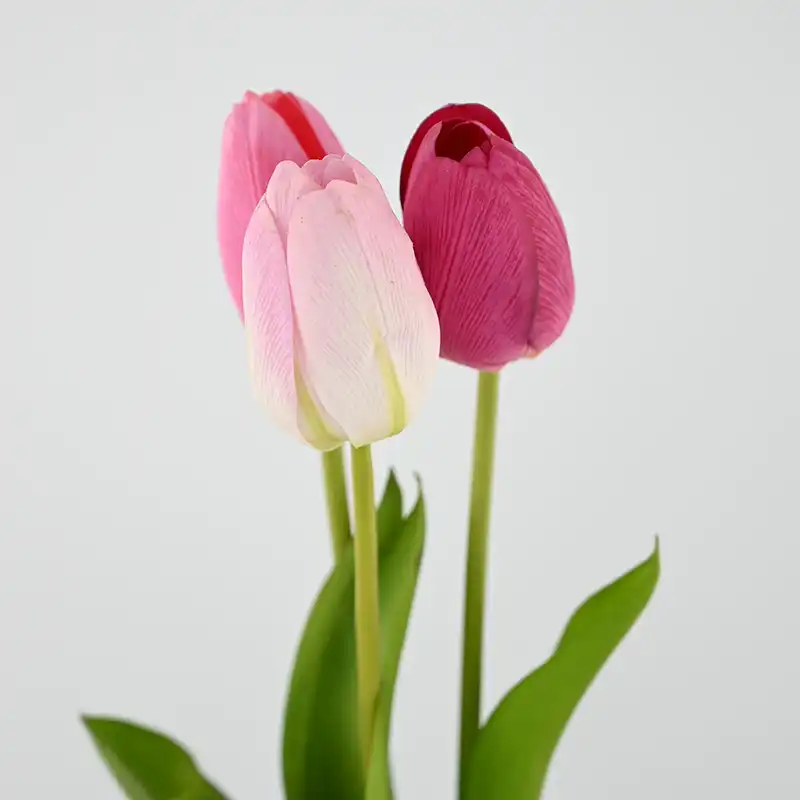Real Touch Darwin Hybrid Tulip Real Touch Darwin Hybrid Tulip