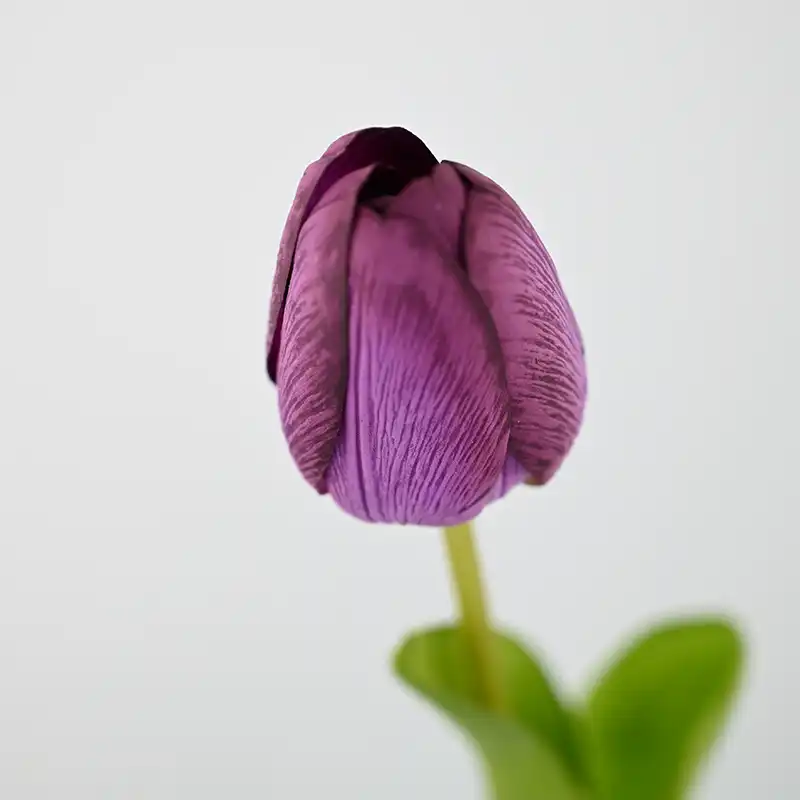 Real Touch Darwin Hybrid Tulip Real Touch Darwin Hybrid Tulip