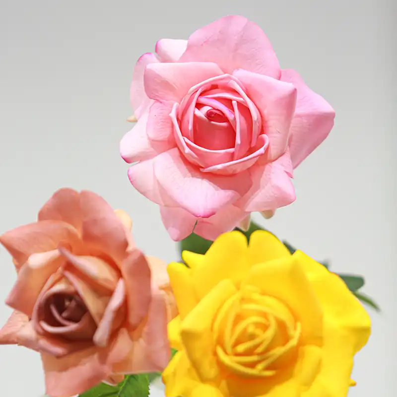 real touch roses