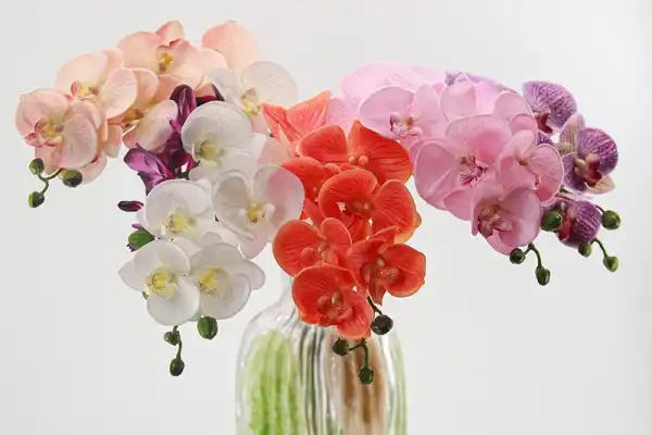 Real Touch Artificial Moth Orchid for Premium Floral Styling