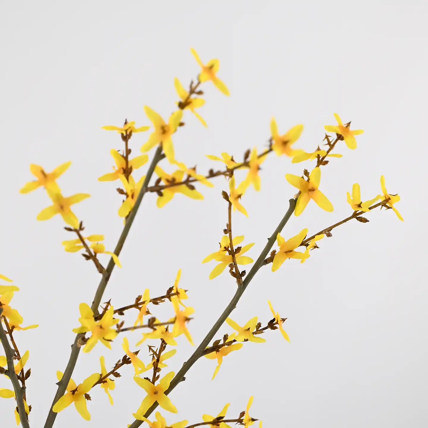 Artificial Winter Jasmine